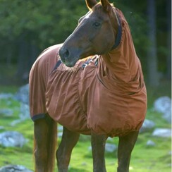 Boett Sweet Itch Blanket Size: 4+