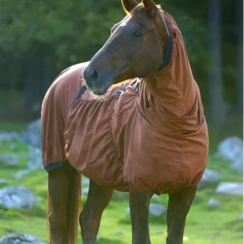 Boett Sweet Itch Blanket Size: 3