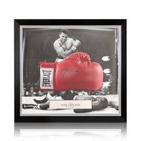 Frame your boxing glove - single dome