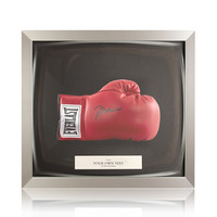 Frame your boxing glove - single dome