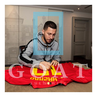 Eden Hazard maglia firmata Belgio 2018 - incorniciata Eden Hazard maglia firmata Belgio 2018 - incorniciata