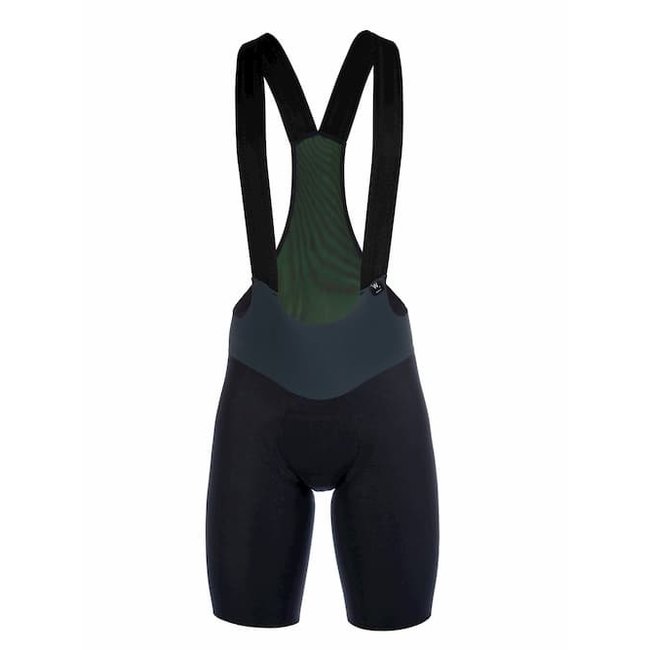 triathlon bib shorts