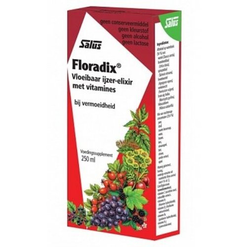 Floradix Floradix Ijzer Elixer - 250 Ml