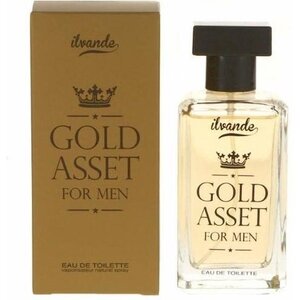 Gold Asset For Men Edt Spray 15 ml Gold Asset For Men Edt Spray 15 ml