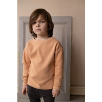 Phil & Phae - Doublé jersey top l/s rose tan 223108 - 11/12 year