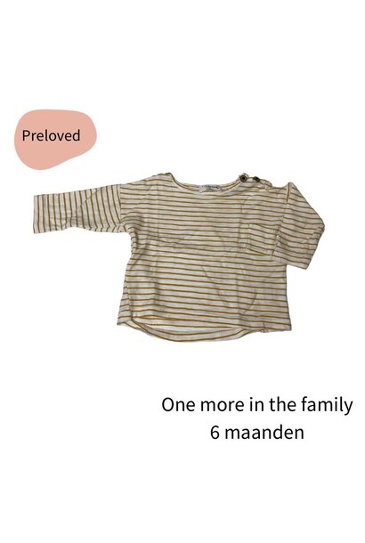 1+ in the family longsleeve streep maat 68