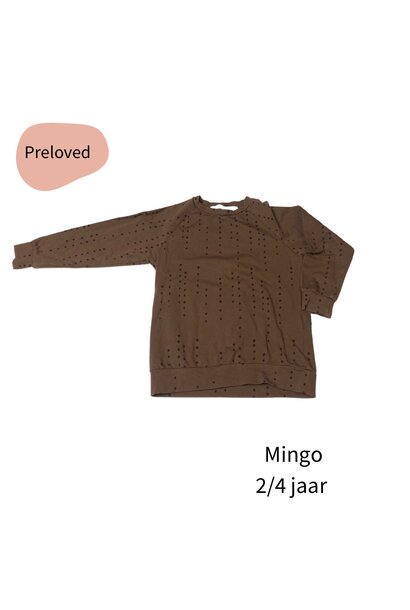 Mingo Longsleeve brown dot 2/4 jaar