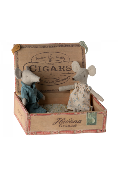 Mum and dad mice in cigar box