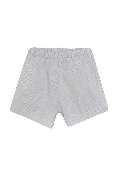 Shorts Woven Stripe Citadel