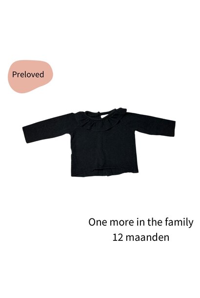 1+ in the family longsleeve kraagje grijs maat 80