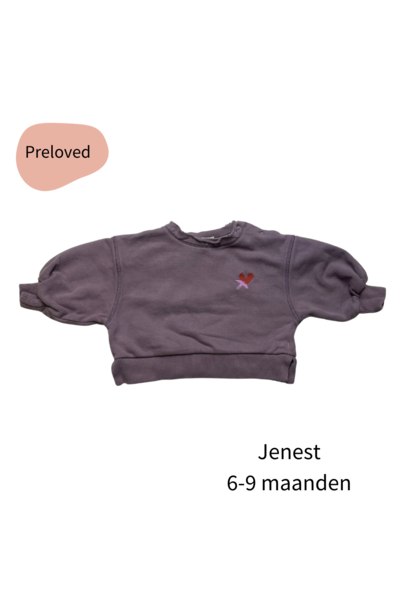 Jenest lovebird sweater paars maat 68-74