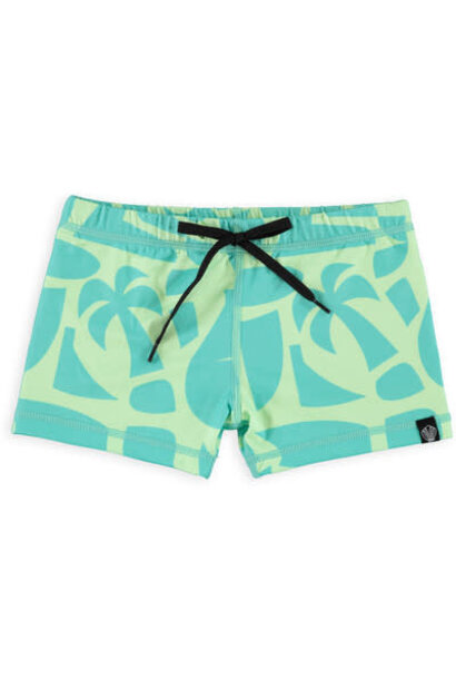 Beach & Bandits Swimshort Comber Pistache