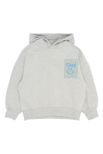 The New - Patrick Hoodie Light Grey