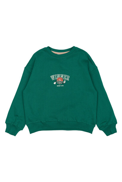 The New - Paul Sweatshirt Alpine Green