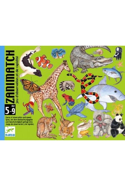 Djeco - Zanimatch