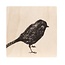 Miiko (FI) Miiko - BIRD - Sous-verre Oiseau - bois de bouleau - 10x10