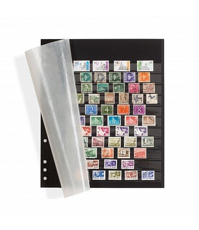 Omega Insert Stock Sheets / Black Carton With 11 Clear Strips