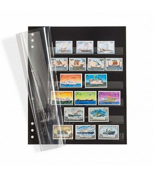 Leuchtturm (Lighthouse) Omega Insert Stock Sheets / Black Carton With 6 Clear Strips / Clear Protective Sheet