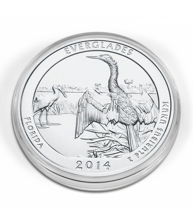 Coin Capsule XL 29 mm - 79 mm