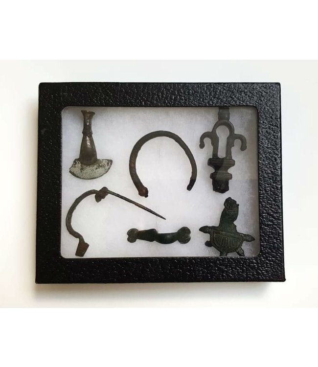 Riker Display Case 21 cm x 16 cm