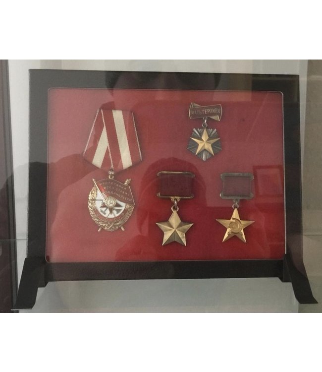 Riker Display Case 21 cm x 16 cm