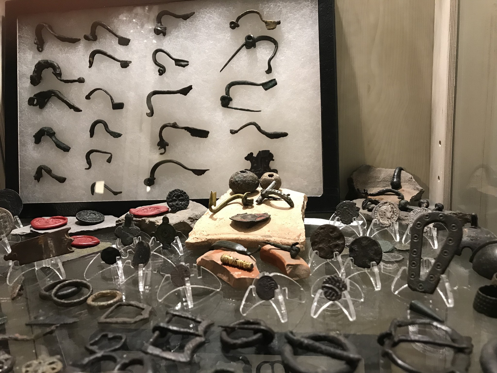 Riker Display Case 31 cm x 21 cm Showmycollection