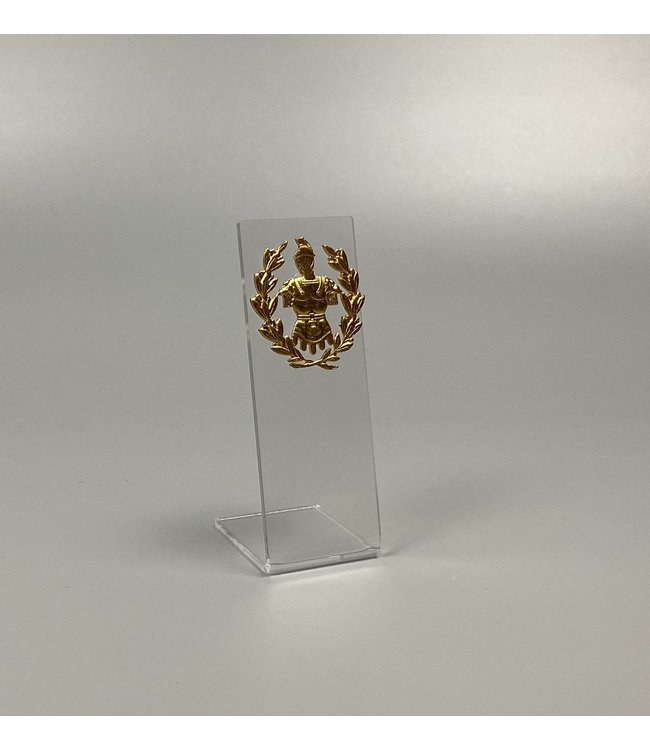 Display Stand For Medals With Pin