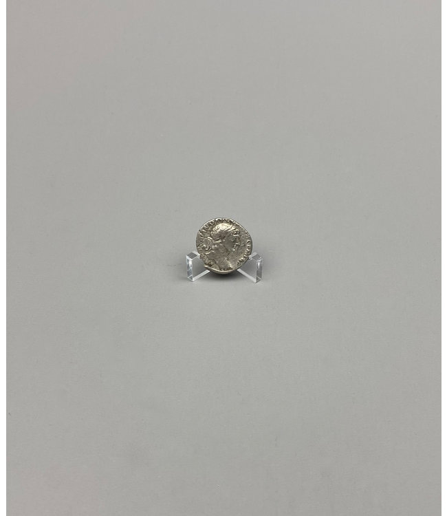 SMC-Münzenständer / Angebot