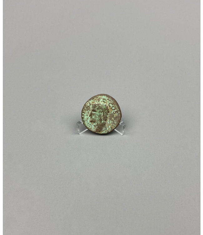 SMC Coin Display Stands /  Special Offer