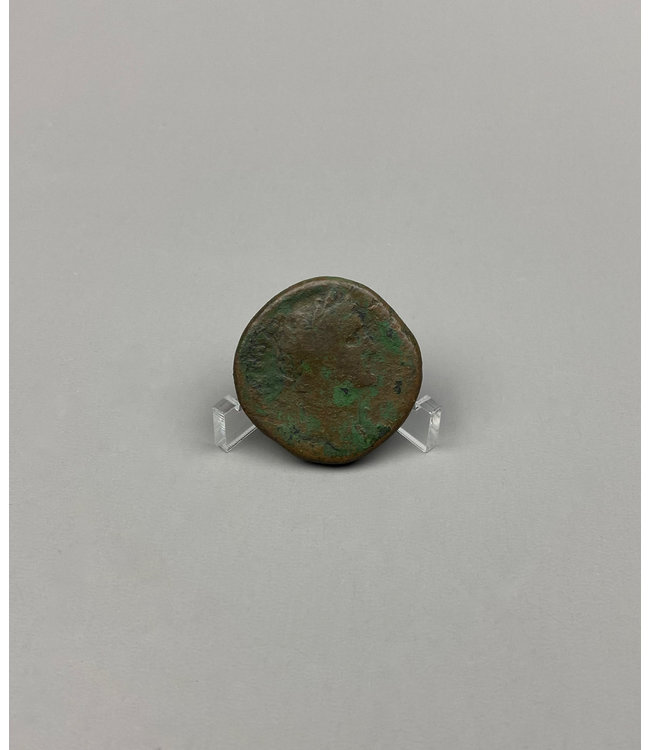 SMC Coin Display Stands / 35 mm