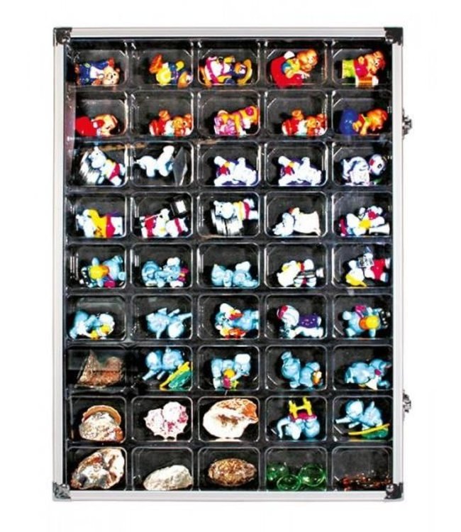 Verzamelvitrine / 45 Vakken
