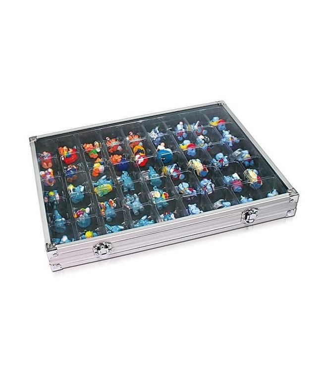 Vitrine / 45 Fächer