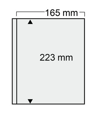 SAFE Kunststoffhüllen Compact / 1er Einteilung