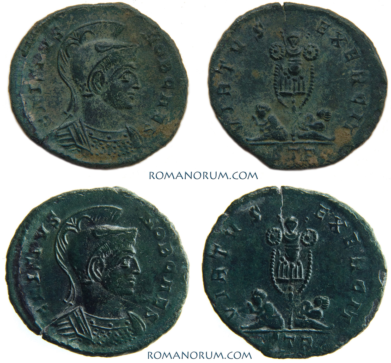 Renaissance Wax™ Showmycollection