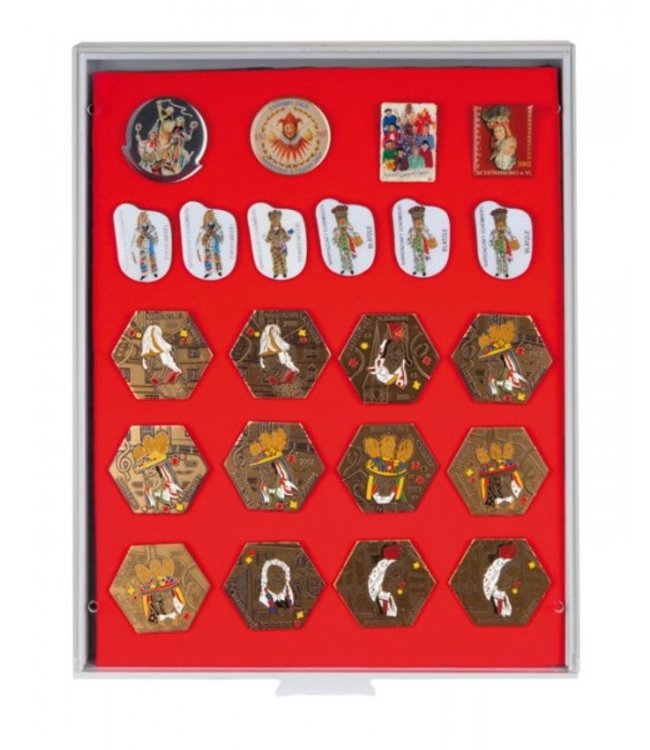 Display Case For Pins / Medals / Badges