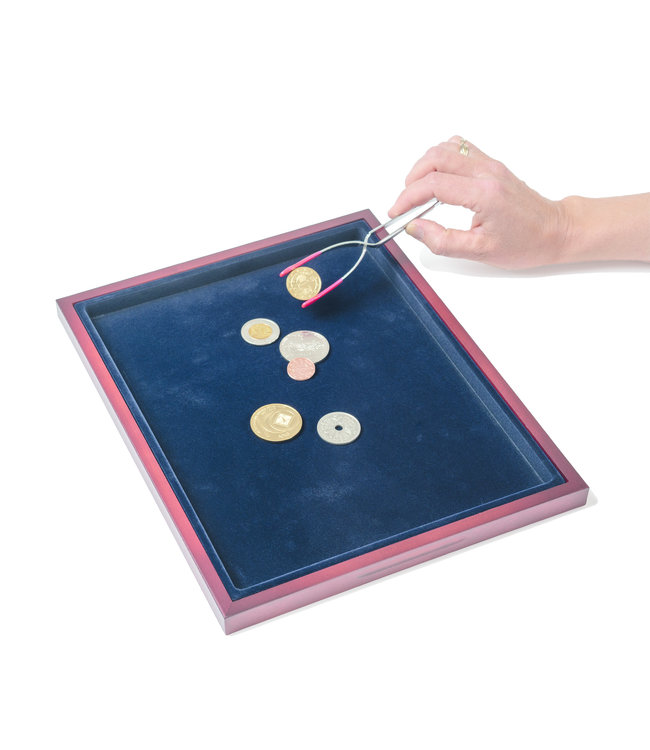 Coin Tray / Butler