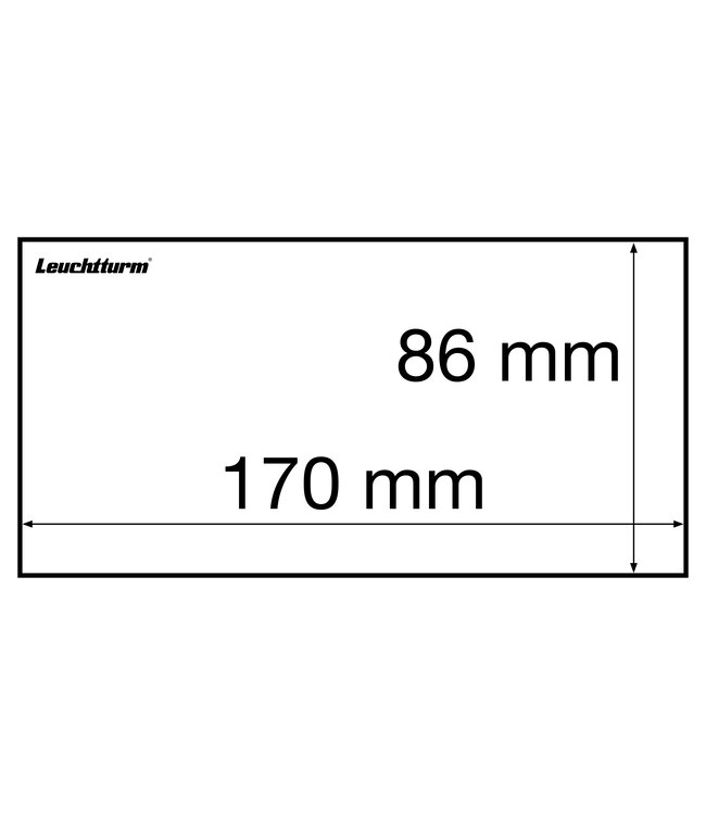 Banknote Sheets / Basic / 3 sizes / Pack of 50