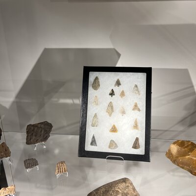 De Wereld van Verzamelen