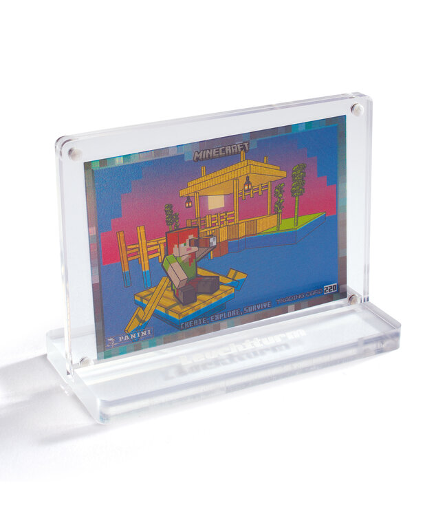 Spectator / Card Display Stand