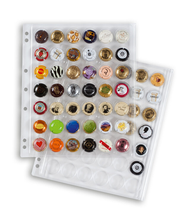 Champagne Caps Album Grande / Met 4 Encap Hoezen