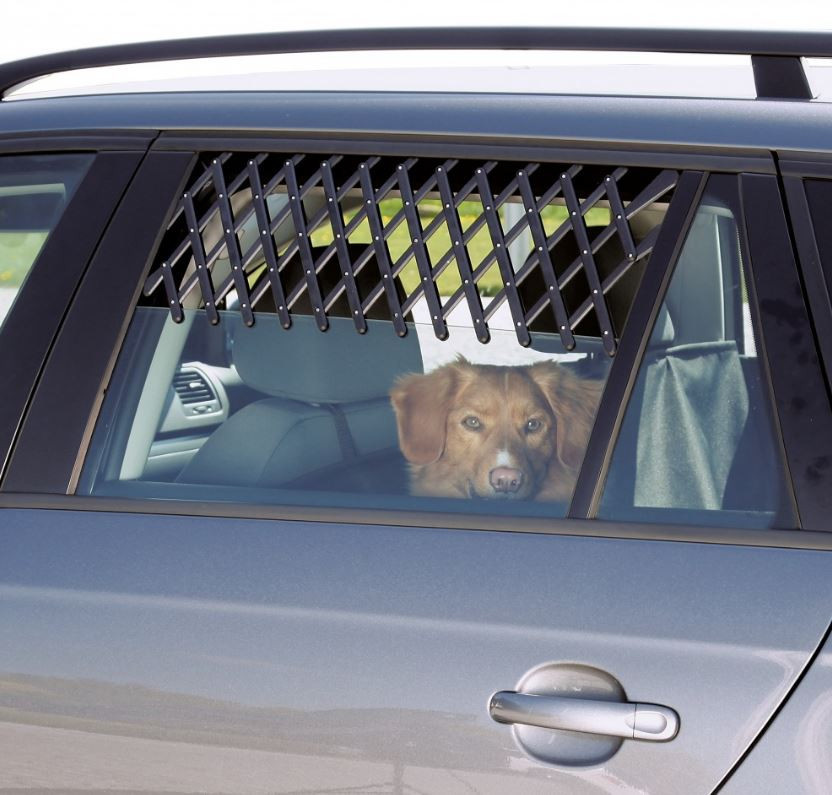 Oorzaak Augment taxi Hondenrooster raam auto - Elvabo de webshop voor hond / kat/ duif /paard