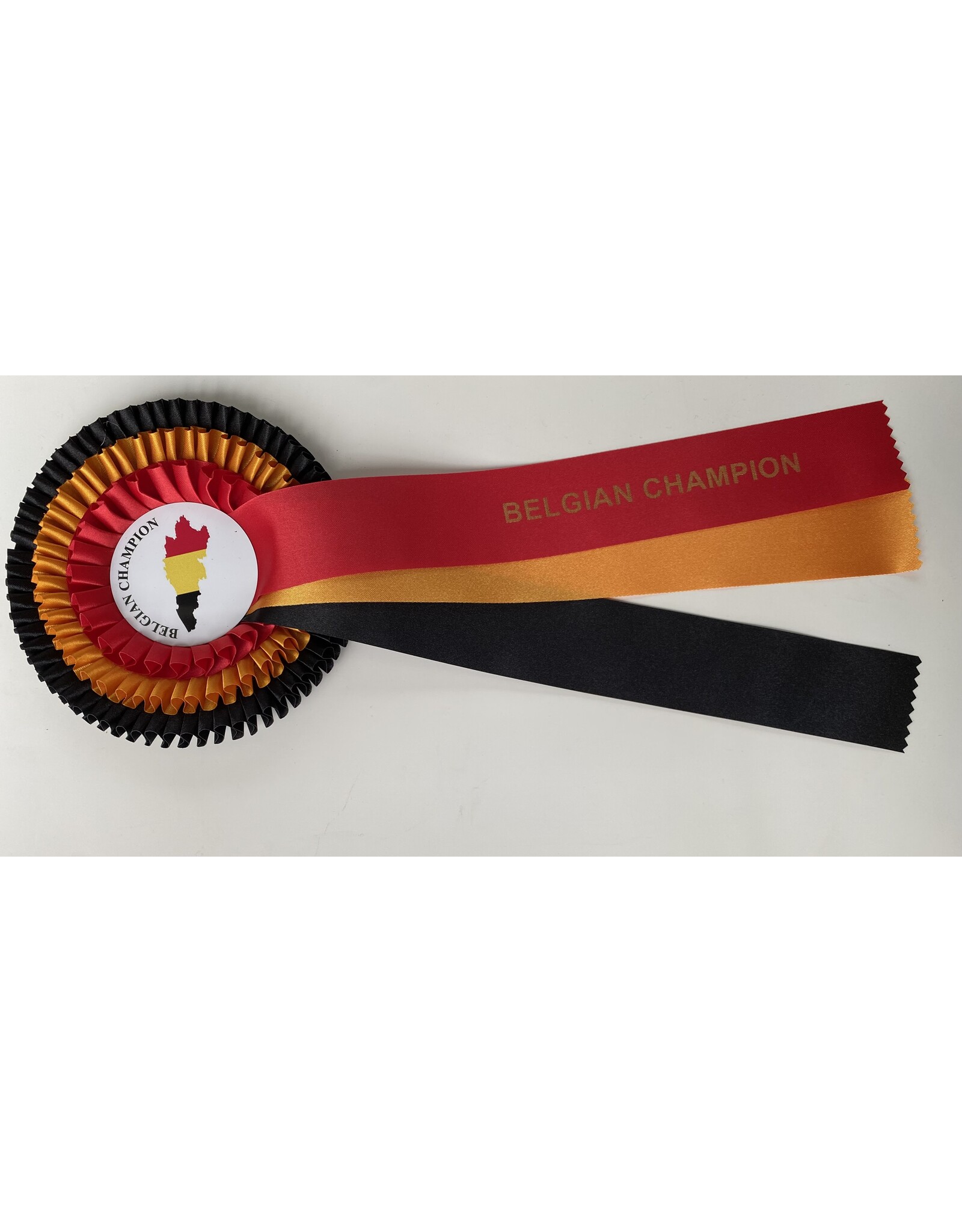 Rozet Belgisch kampioen