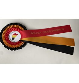 Belgisch jeugd kampioen