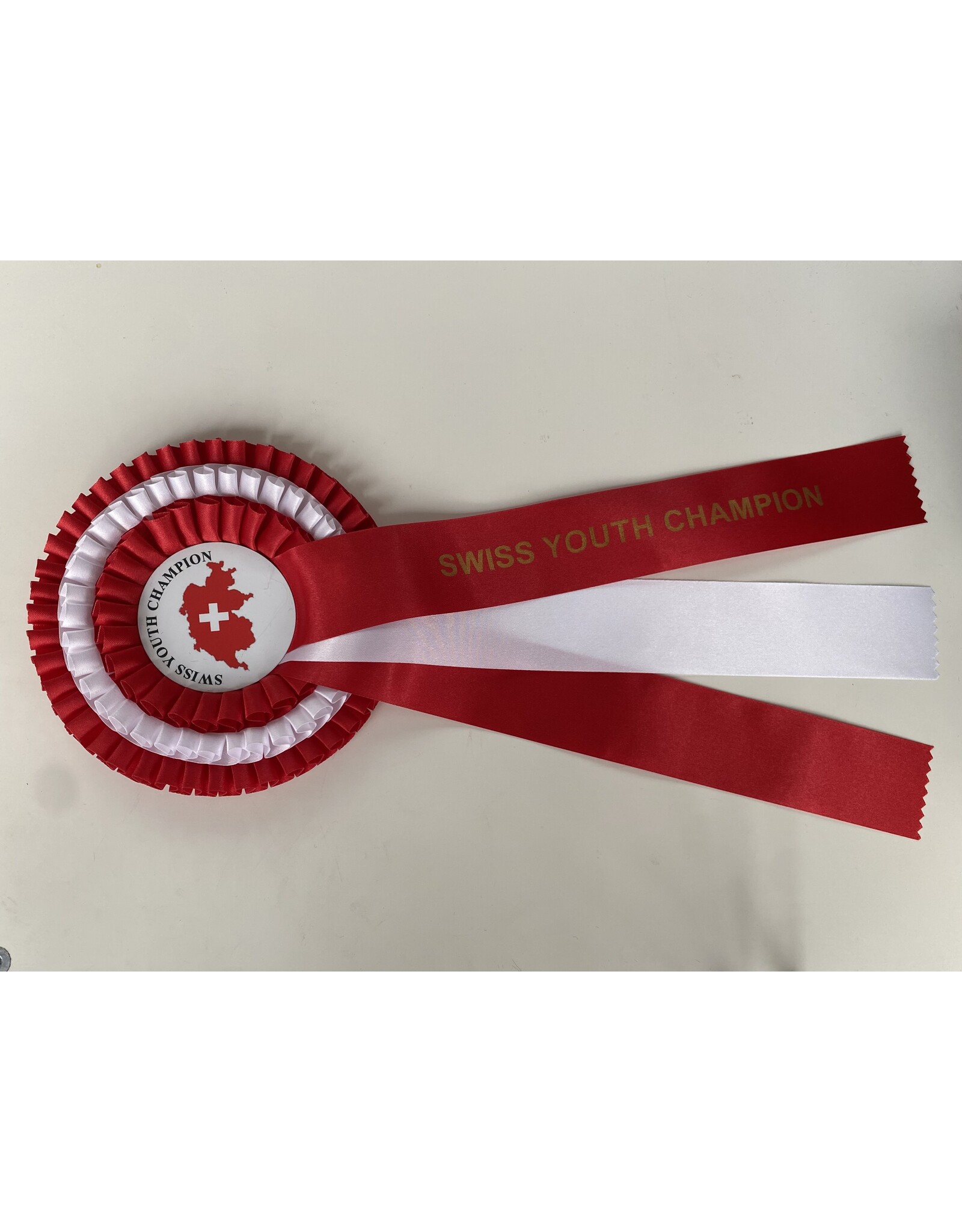 Rozet Zwitsers jeugd kampioen