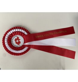 Rozet Zwitsers jeugd kampioen
