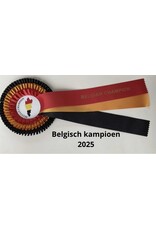 Belgisch kampioen 2025