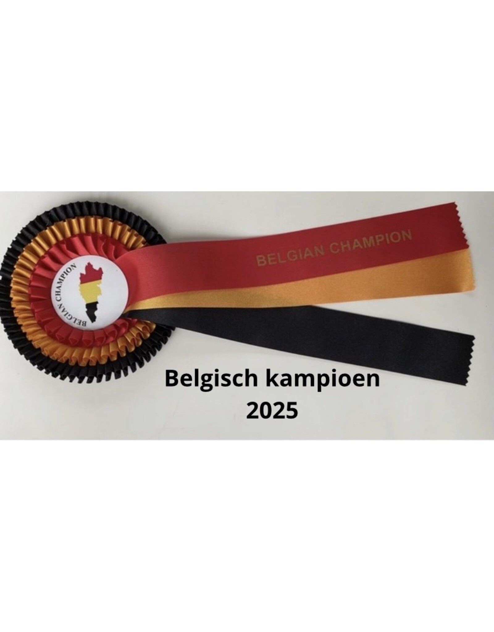 Belgisch kampioen 2025