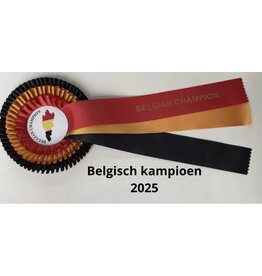 Belgisch kampioen 2025