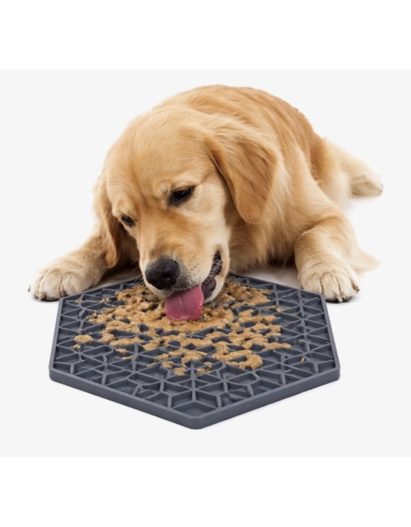 Likmat voor de hond GROEN