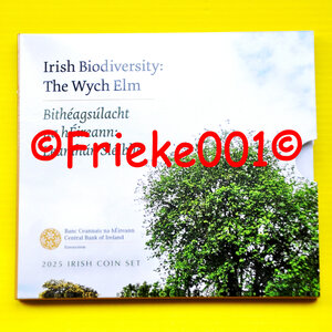 Ierland 2025 bu